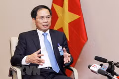 Destacan participación de Vietnam en APEC 2018 en Papúa Nueva Guinea ​