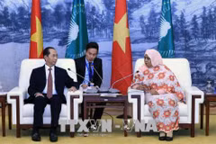 Vietnam concede importancia al fomento de nexos con África, afirma presidente