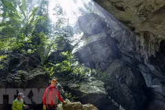Descubren 44 nuevas cuevas en parque Phong Nha-Ke Bang en Vietnam 