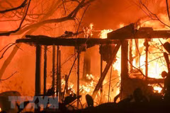 No se reportan víctimas vietnamitas en incendios forestales en California, informa Embajada
