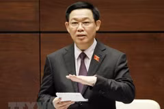 Vicepremier de Vietnam clarifica sobre zonas económicas especiales 