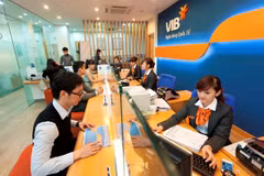 Moody´s aumenta calificación crediticia de varios bancos vietnamitas