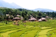 Turismo comunitario beneficia a distrito montañoso en provincia vietnamita de Thanh Hoa 
