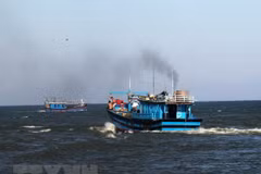 Vietnam participa en acuerdo de la FAO para prevenir y eliminar la pesca ilegal