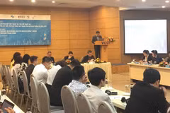 Seminario sobre aplicación por empresas vietnamitas de los derechos de propiedad intelectual 