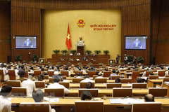 Electores vietnamitas aprecian resultados del cumplimiento del plan financiero nacional