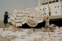 Indonesia por controlar precios de arroz 