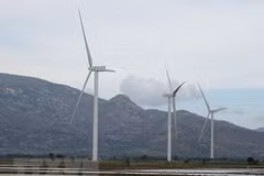 Vietnam presta atención al desarrollo de fuentes de energía limpia