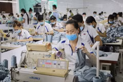 Tratado de Libre Comercio, catalizador de transacciones mercantiles Vietnam-Rusia 