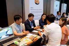 Empresas sudcoreanas estudian oportunidades de inversiones en Ciudad Ho Chi Minh