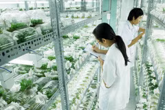 Fomentan transferencia tecnológica de Israel a Vietnam 