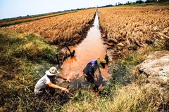 Empresas japonesas aspiran a invertir en Vietnam