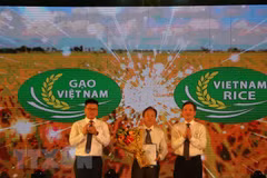 Debaten medidas para desarrollar la marca comercial del arroz vietnamita
