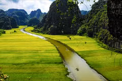 Turoperadores promueven desarrollo del turismo de provincia norvietnamita de Ninh Binh