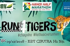 Centenares de personas participan en el maratón “Corre por Tigres” en Hanoi