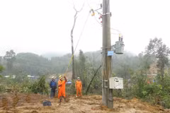 Provincia vietnamita de Phu Yen amplía red eléctrica con asistencia financiera de Japón