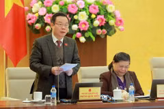 Comité Permanente del Parlamento vietnamita debate sobre borrador de Ley de Competencia (enmendada)