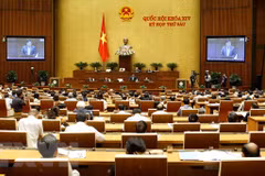 Sesiones de interpelaciones del Parlamento de Vietnam se prolongarán tres jornadas 