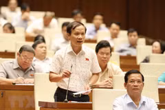Diputados vietnamitas elogian interpelaciones de ministros en quinto período de sesiones del Parlamento