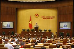 Parlamento de Vietnam discutirá labores jurídicas 
