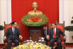 Partidos Comunistas de Vietnam y Japón fortalecen cooperación
