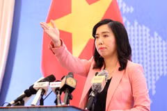 Vietnam sigue trabajando para garantizar derechos humanos, afirma portavoz de Cancillería
