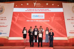 Grupo Nacional de Petróleo y Gas es el más rentable de Vietnam en 2018