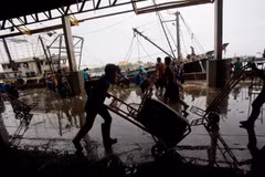 Tailandia obliga pago a través de cuentas bancarias para pescadores migrantes