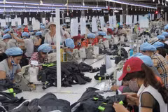 Empresas vietnamitas aprovechan la guerra comercial EE.UU.-China para impulsar exportaciones 