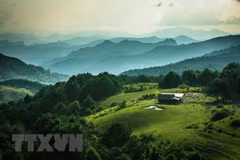 Vietnam avanza en gestión sostenible de bosques