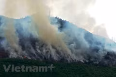 Vietnam activo en el cumplimiento de compromisos globales contra el cambio climático