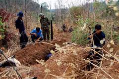 Provincia vietnamita de Thanh Hoa intensifica la búsqueda de restos de mártires 