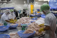 Súbito auge de ventas vietnamitas de pescado Tra a Estados Unidos 