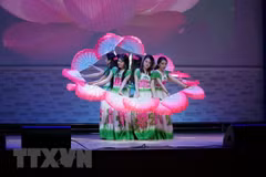 Efectúan programa cultural Vietnam-Rusia en Universidad Financiera de Moscú