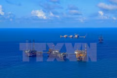 Grupo petrolero de Vietnam aumenta su reserva en 2018