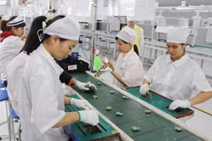 Corea del Sur apoya a sus empresas a invertir en Vietnam 