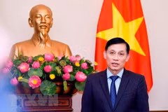 Visita de presidente Dai Quang abre nueva fase para relaciones Vietnam-Japón, según vicecanciller