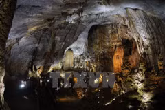 Phong Nha - Ke Bang se esfuerza por convertirse en sitio turístico nacional en 2025