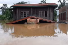 Lluvias e inundaciones causan graves consecuencias en Laos