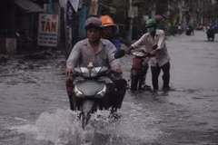 Países Bajos aspira a cooperar con Vietnam en reducción de impactos del cambio climático