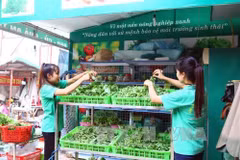 Vietnam comparte experiencias sobre agricultura verde en foro de ECOSOC