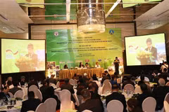 FAO coopera con Asia-Pacífico para mitigar impacto en la agricultura del cambio climático 