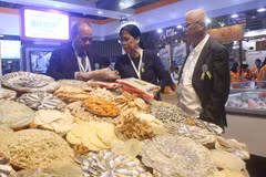 Celebran muestra internacional de acuicultura en Ciudad Ho Chi Minh 