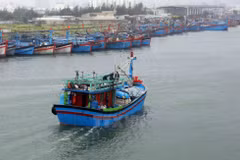 Entidades vietnamitas se encargan de toda la transportación doméstica por vía marítima