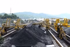 Inversiones vietnamitas en el exterior superan los 184 millones de dólares en lo que va de año