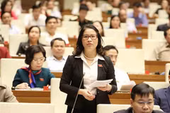 Premier de Vietnam rendirá cuentas ante el Parlamento 