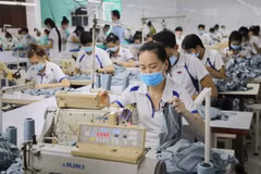 Sector textil de Vietnam aspira a crecer 10 por ciento en 2018 