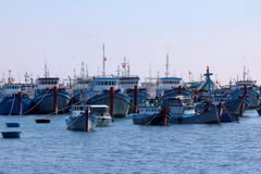 Vietnam por impulsar desarrollo sostenible de la pesca