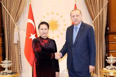 Presidente de Turquía afirma que su país aspira a firmar TLC con Vietnam , 