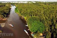 Delta del Mekong necesita una nueva visión del desarrollo turístico